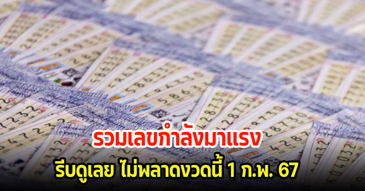 รีบเลย รวมเลขกำลังมาแรง เกลี้ยงแผงแล้ว ไม่พลาดงวดนี้ 1 ก.พ. 67