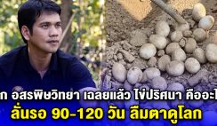 นิก อสรพิษวิทยา เฉลยแล้ว ไข่ปริศนา คืออะไร ลั่นรอ 90-120 วัน ลืมตาดูโลก