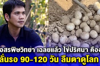 นิก อสรพิษวิทยา เฉลยแล้ว ไข่ปริศนา คืออะไร ลั่นรอ 90-120 วัน ลืมตาดูโลก