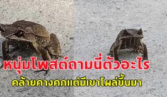 หนุ่มโพสต์ นี่ตัวอะไร คล้ายคางคกแต่มีเขาโผล่ออกมา