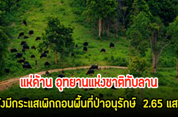 ชาวโซเชียลเดือด! แห่ค้าน อุทยานแห่งชาติทับลาน หลังมีกระแสเพิกถอนพื้นที่ป่าอนุรักษ์ 2.65 แสนไร่