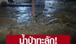 เลย ฝนตกหนักติด 3 ชั่วโมง น้ำป่าทะลักท่วมบ้านประชาชนอย่างรวดเร็ว