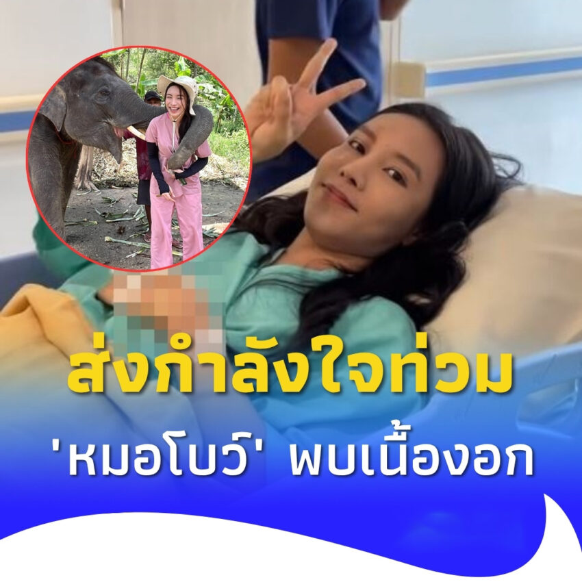 สุดห่วง “หมอโบว์” รักษาช้าง เจอเนื้องอกในมดลูก แห่ส่งกำลังใจท่วม