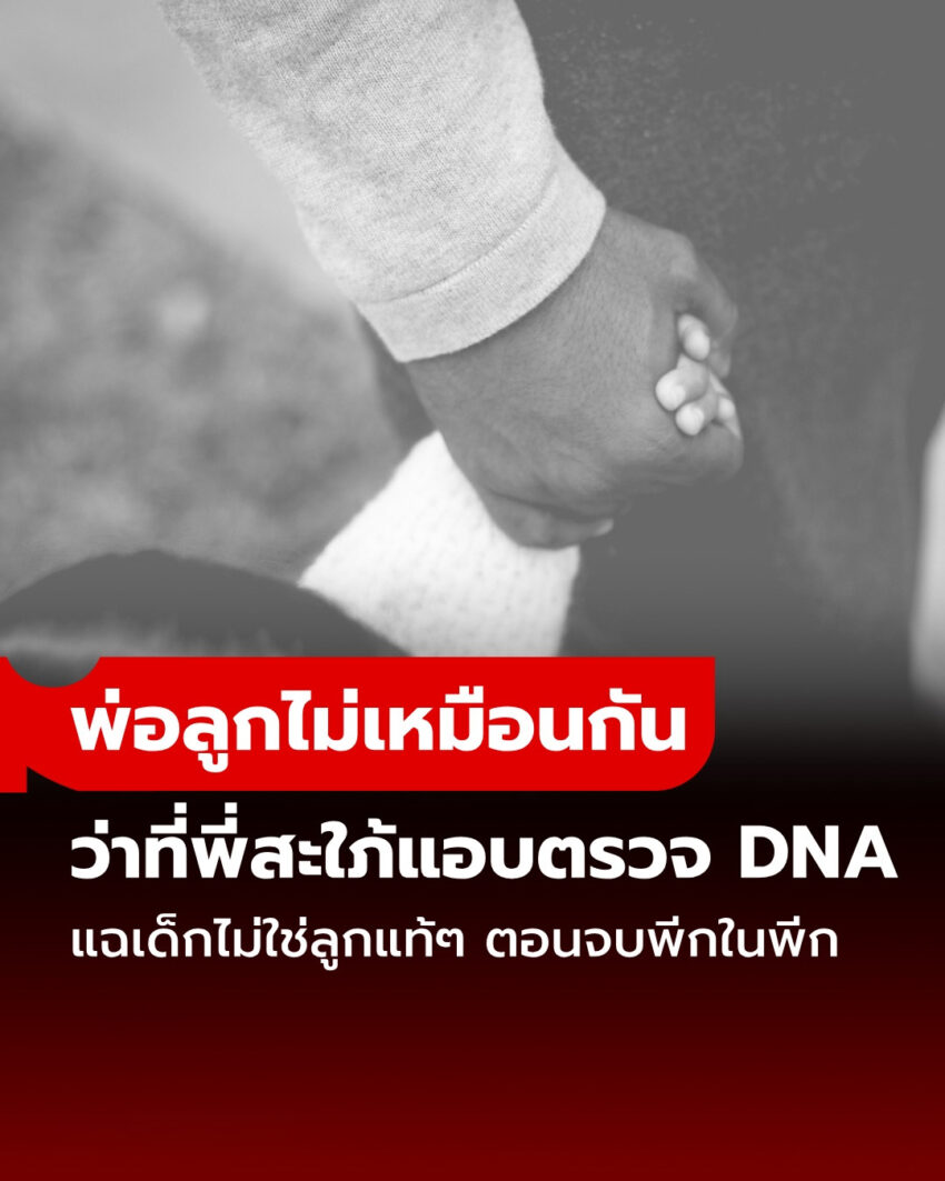 พ่อลูกหน้าไม่เหมือนกัน พี่สะใภ้แอบตรวจ DNA แฉเด็กไม่ใช่ลูกแท้ๆ สุดท้ายหน้าชาเอง