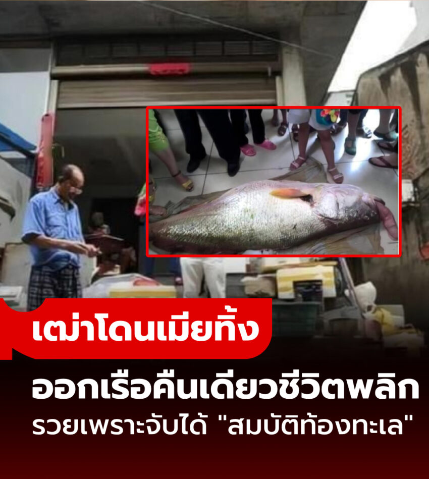 เฒ่าโดนเมียทิ้ง ออกเรือคืนเดียวชีวิตพลิก จับได้ “สมบัติแห่งท้องทะเล” เศรษฐีจ่ายให้ 15 ล้าน