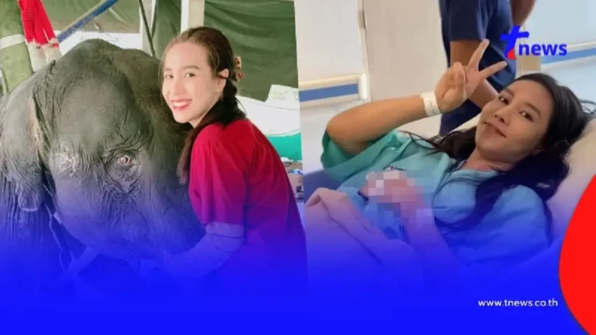 สุดห่วง “หมอโบว์” รักษาช้าง เจอเนื้องอกในมดลูก แห่ส่งกำลังใจท่วม