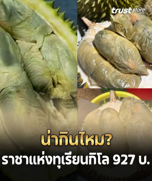 น่ากินไหม? ราชาแห่งทุเรียน ราชากระรอก จากมาเลเซีย หากินยากราคาสูงถึงกก.ละ 927 บาท