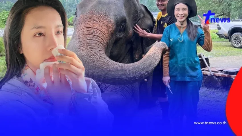 “หมอโบว์” วูบล้มเลือดอาบคาง น้ำหนักหาย 3โล หลังสูญเสียครั้งใหญ่