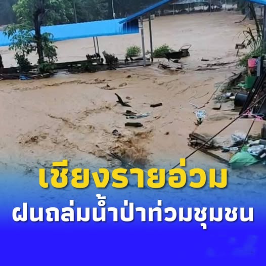 ฝนถล่มเชียงราย น้ำป่า-น้ำท่วมฉับพลัน อ.พญาเม็งราย-เวียงชัย