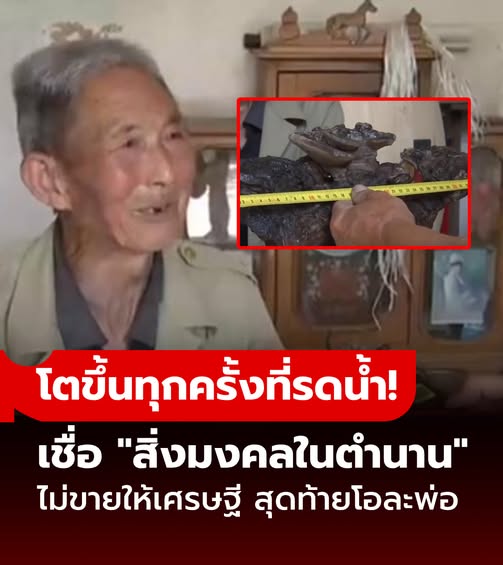 ชาวนาพบ “สิ่งมงคลในตำนาน” โตขึ้นทุกครั้งที่รดน้ำ ไม่ขายให้เศรษฐี สุดท้ายเฉลยโอละพ่อ!!!