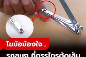 ไขข้อข้องใจ รูกลมเล็กๆ บนด้ามจับ “กรรไกรตัดเล็บ” มีประโยชน์อย่างไร?