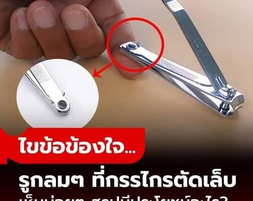 ไขข้อข้องใจ รูกลมเล็กๆ บนด้ามจับ “กรรไกรตัดเล็บ” มีประโยชน์อย่างไร?