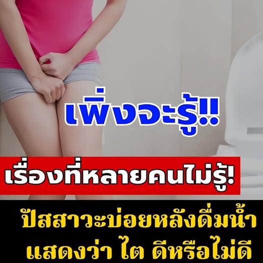 ปัสสาวะบ่อยหลังดื่มน้ำ แปลว่า “ไตดีหรือไตพัง?” ไขข้อข้องใจ เรื่องที่หลายคนยังสับสน!